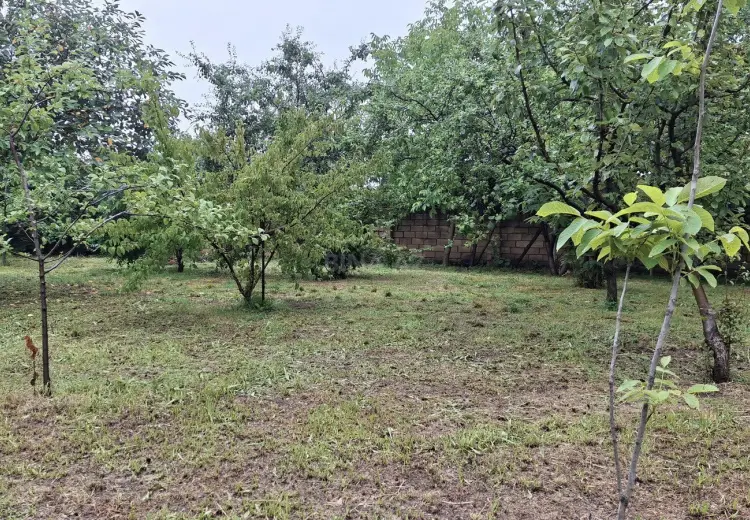 10 sot Torpaq Satılır, Qəbələ