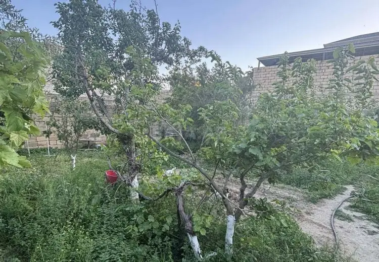3 sot Torpaq Satılır, Lökbatan qəs., Qaradağ, Bakı