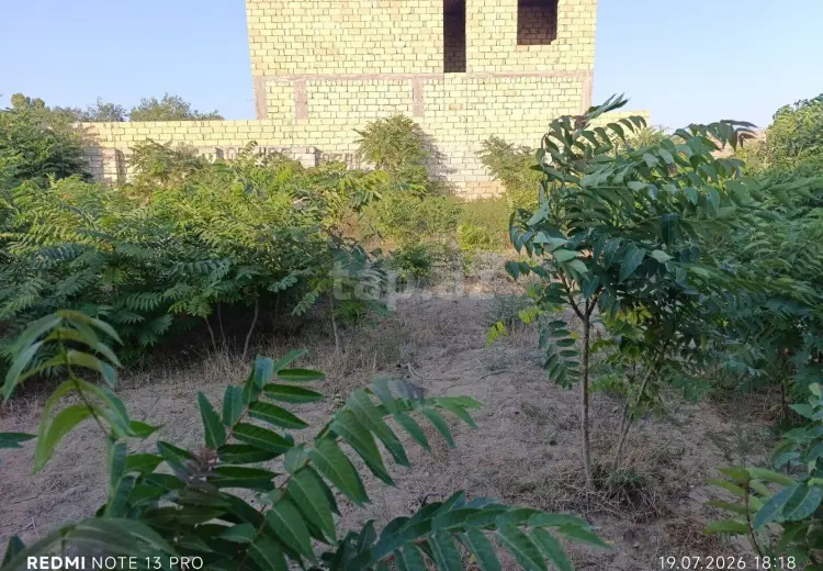 0 m² Obyekt / Ofis , Bakı