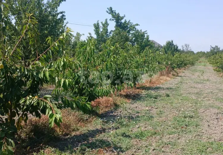 3 otaqlı mənzil , Bakı