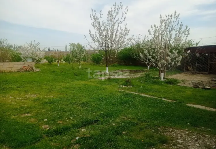 6 otaqlı mənzil , Xaçmaz