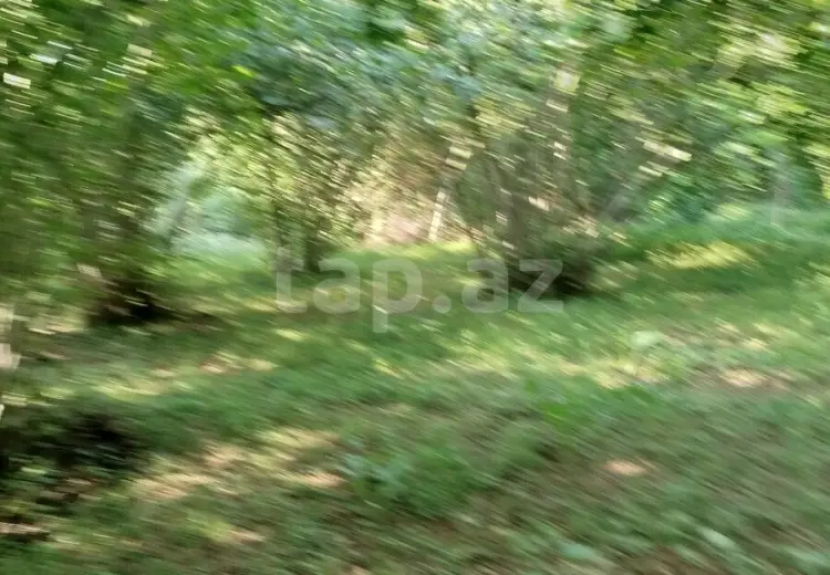 0 m² Obyekt / Ofis , Qəbələ