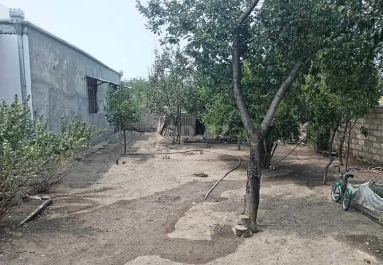 2 otaqlı mənzil , Samux