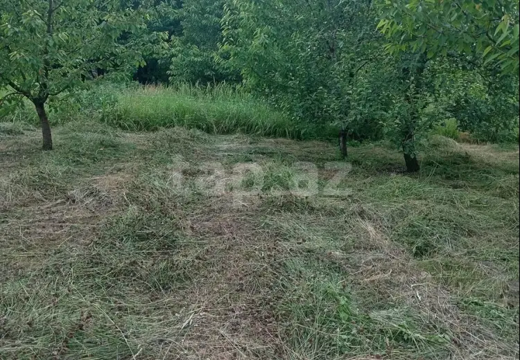 0 m² Obyekt / Ofis , Quba