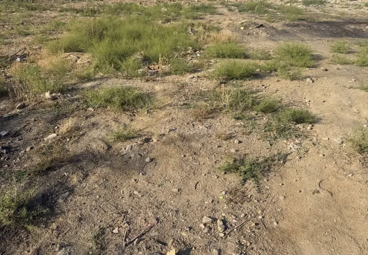 2 sot Torpaq Satılır, Novxanı, Abşeron