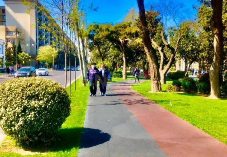 305 m² Obyekt / Ofis Kirayə (aylıq), Nərimanov, Bakı