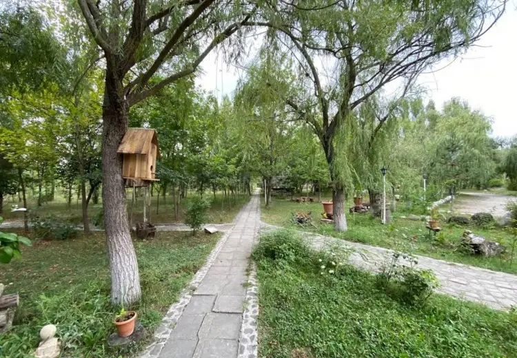 260 sot Torpaq Satılır, Qusar