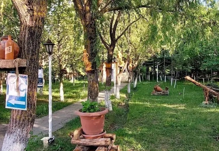 260 sot Torpaq Satılır, Qusar