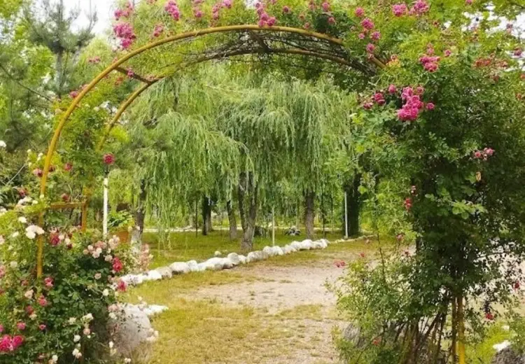 260 sot Torpaq Satılır, Qusar