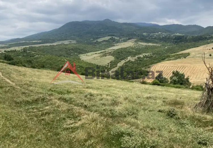 15 sot Torpaq Satılır, İsmayıllı
