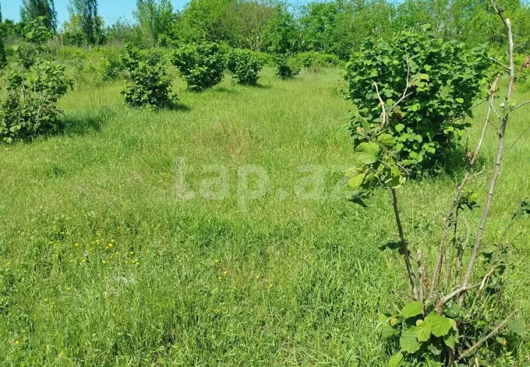 0 m² Obyekt / Ofis , Şabran