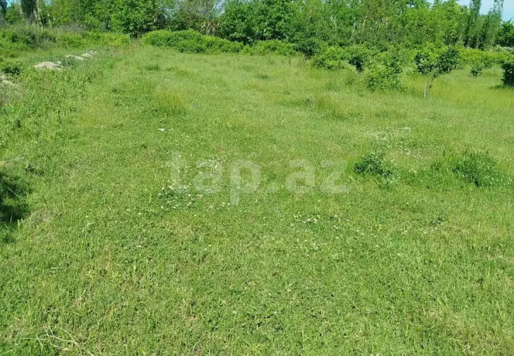 0 m² Obyekt / Ofis , Şabran