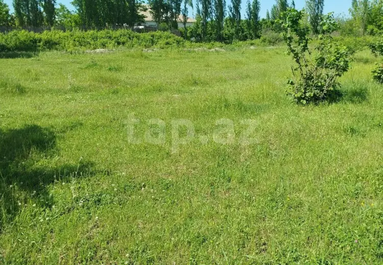 0 m² Obyekt / Ofis , Şabran