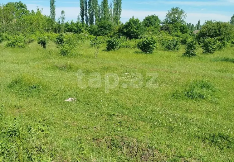 0 m² Obyekt / Ofis , Şabran