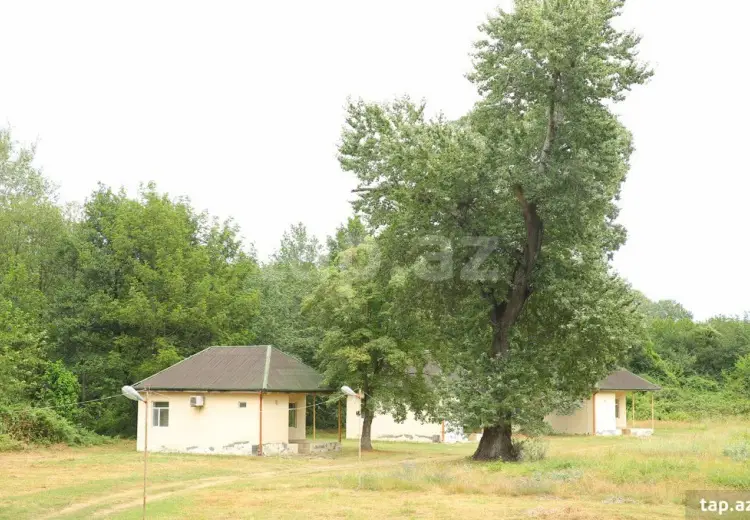 0 m² Obyekt / Ofis , Oğuz
