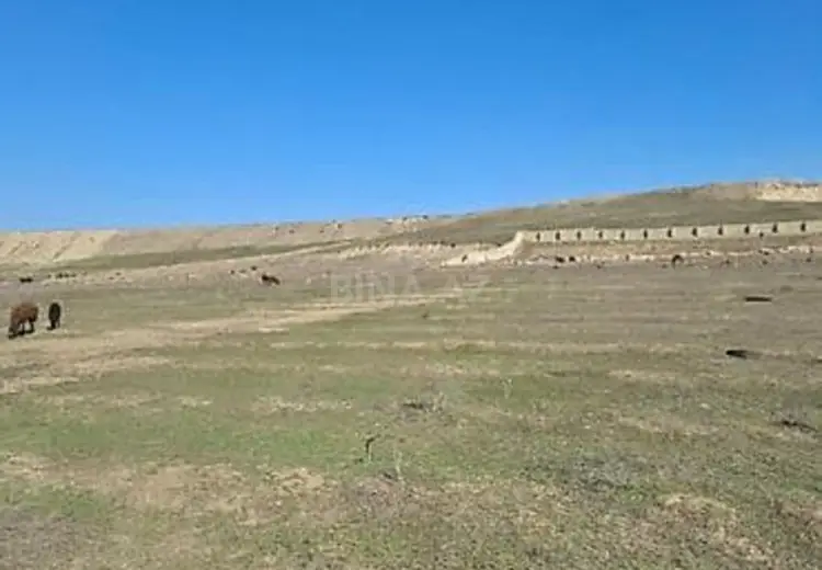 6 sot Torpaq Satılır, Novxanı, Abşeron