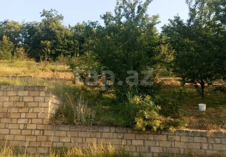 0 m² Obyekt / Ofis , Quba