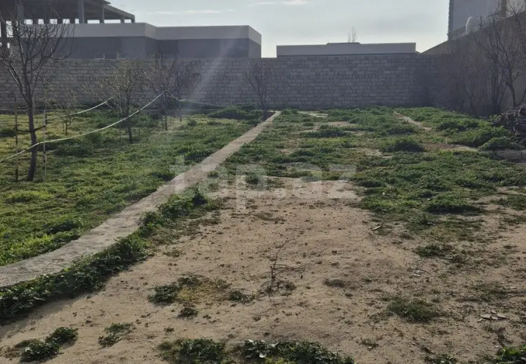 0 m² Obyekt / Ofis , Buzovna, Xəzər, Bakı