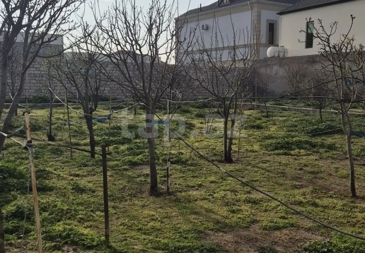 0 m² Obyekt / Ofis , Buzovna, Xəzər, Bakı
