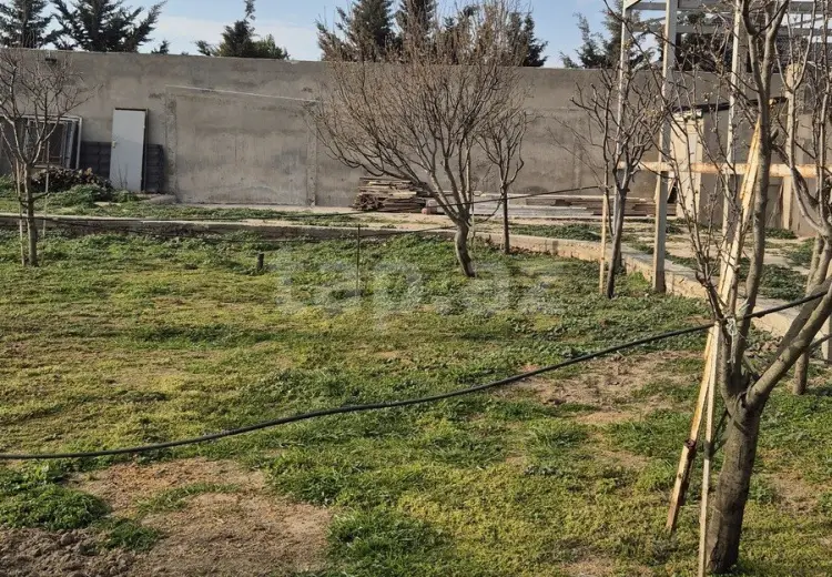 0 m² Obyekt / Ofis , Buzovna, Xəzər, Bakı