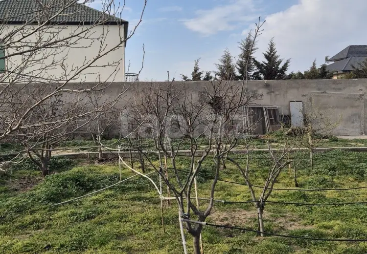 0 m² Obyekt / Ofis , Buzovna, Xəzər, Bakı