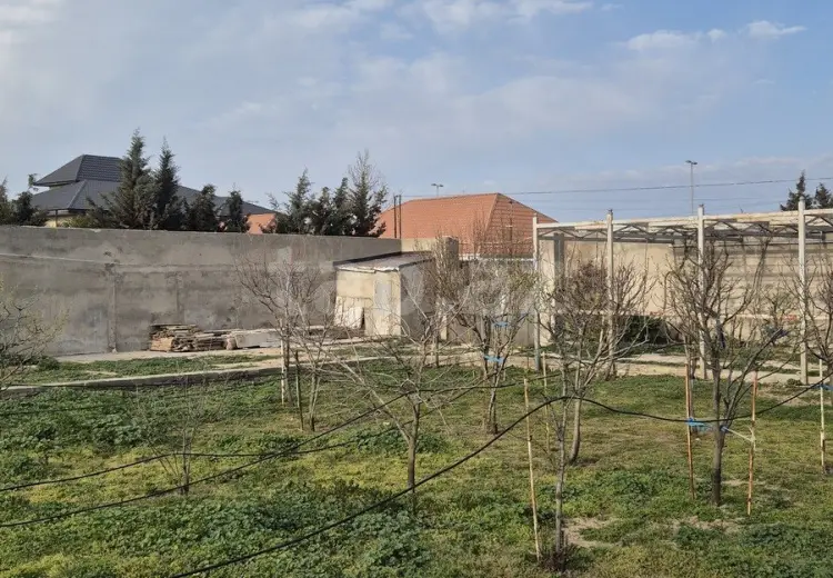 0 m² Obyekt / Ofis , Buzovna, Xəzər, Bakı