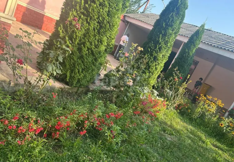 4 otaqlı mənzil Kirayə (günlük), Qəbələ