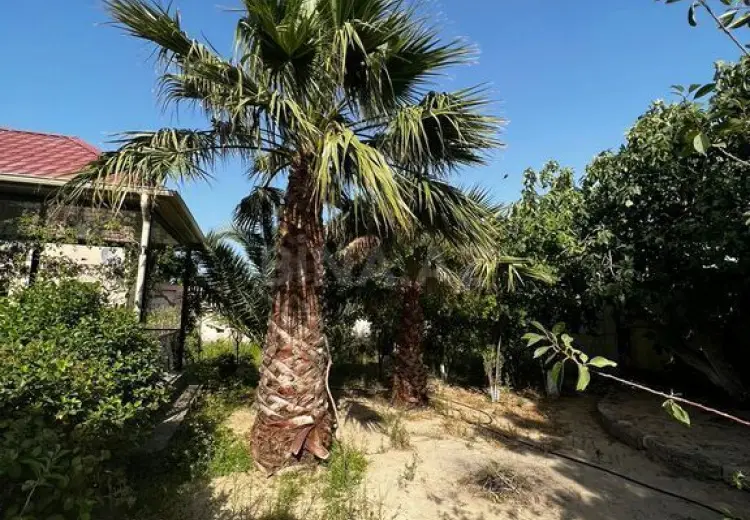 0 otaqlı mənzil Satılır, Nardaran qəs., Sabunçu, Bakı