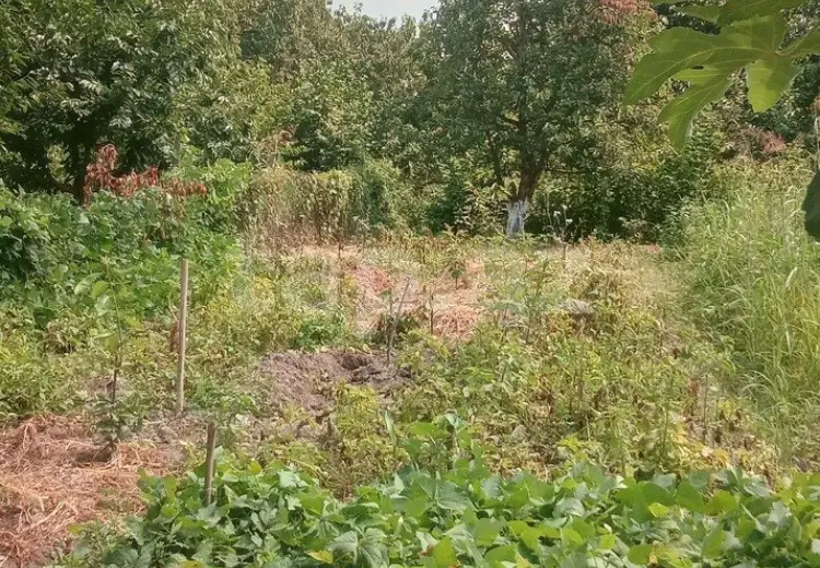 4 otaqlı mənzil , Quba