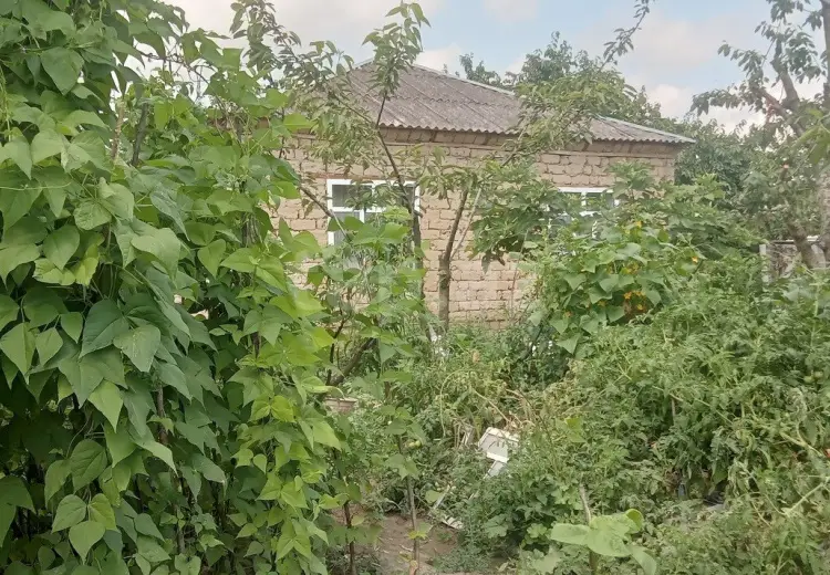 4 otaqlı mənzil , Quba