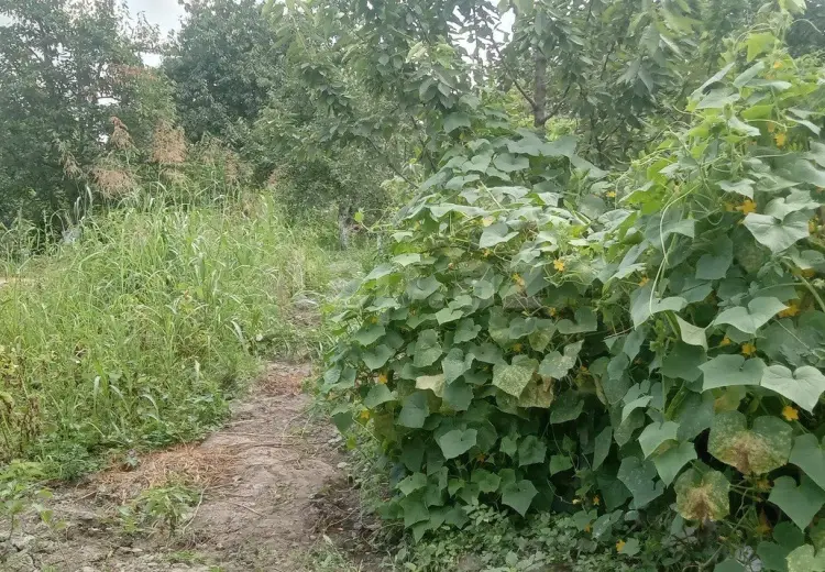 4 otaqlı mənzil , Quba