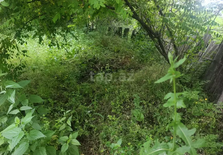 5 otaqlı mənzil , Gədəbəy