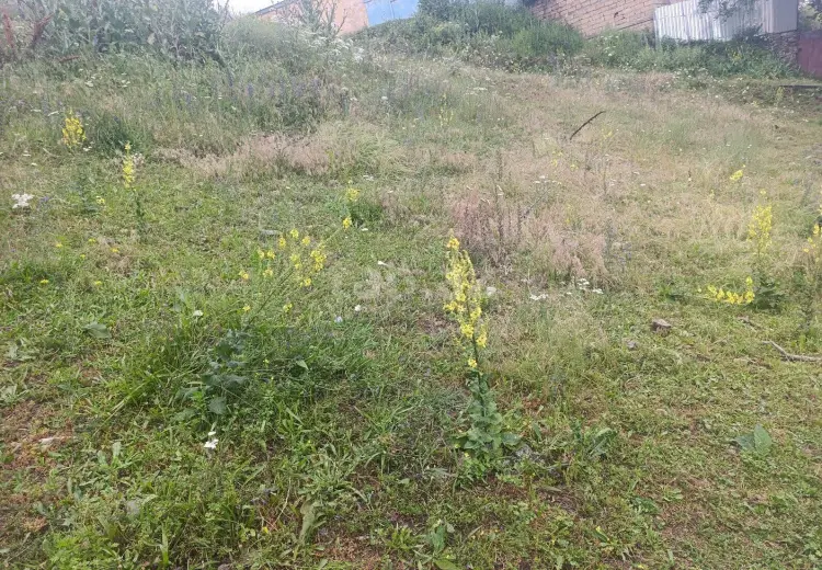 5 otaqlı mənzil , Gədəbəy