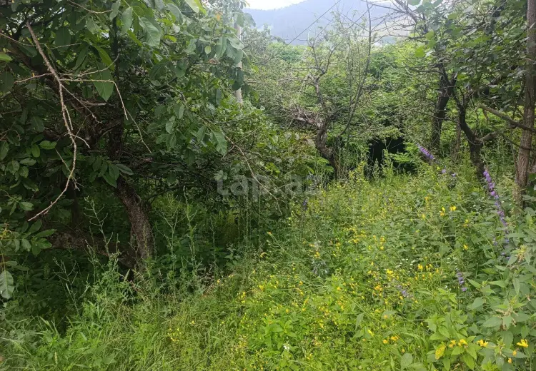 5 otaqlı mənzil , Gədəbəy