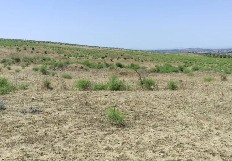 82 sot Torpaq Satılır, Mehdiabad, Abşeron