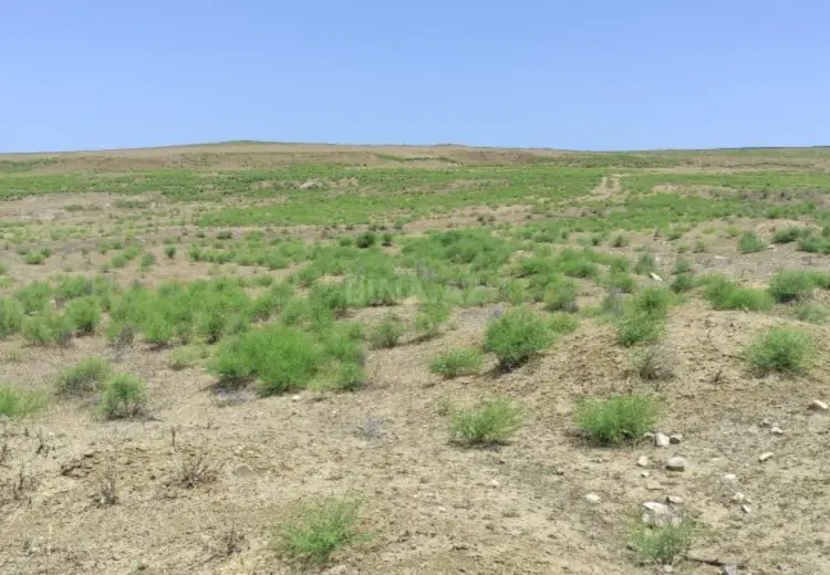 82 sot Torpaq Satılır, Mehdiabad, Abşeron