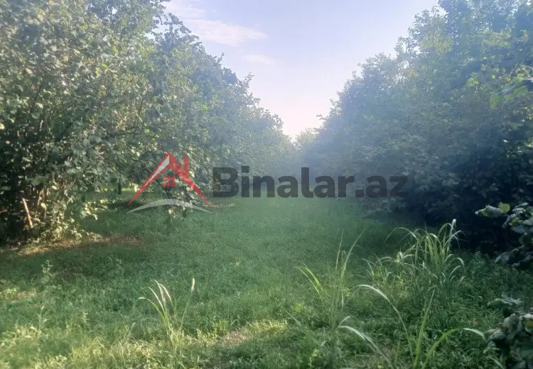 0 sot Torpaq Satılır, Qəbələ