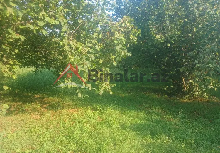 0 sot Torpaq Satılır, Qəbələ
