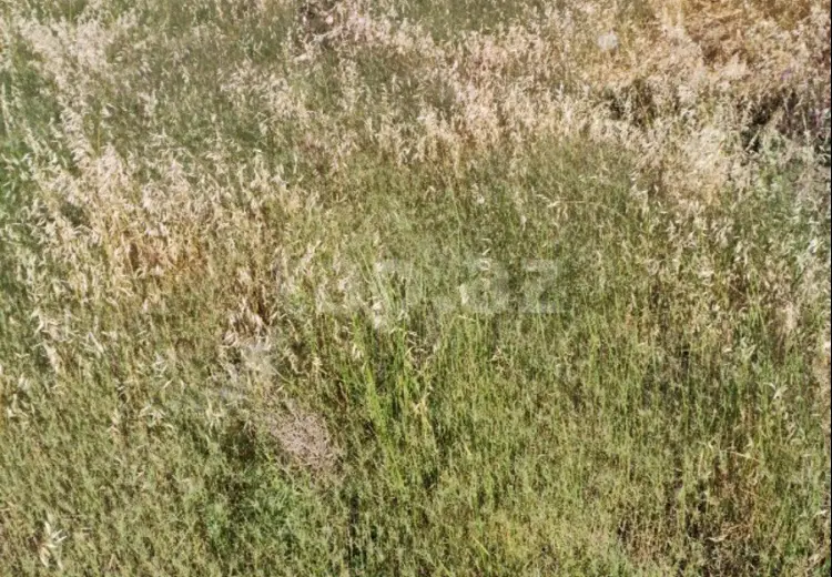 0 m² Obyekt / Ofis , Mehdiabad, Abşeron