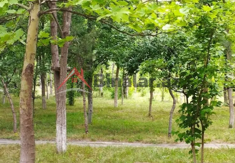 260 sot Torpaq Satılır, Qusar