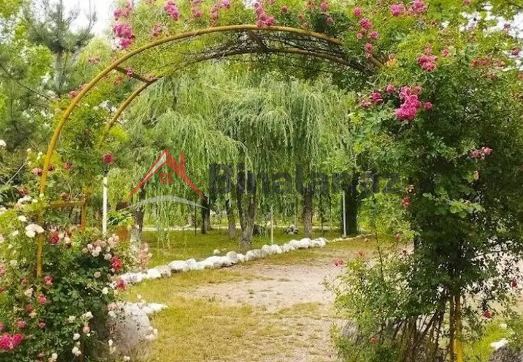 260 sot Torpaq Satılır, Qusar