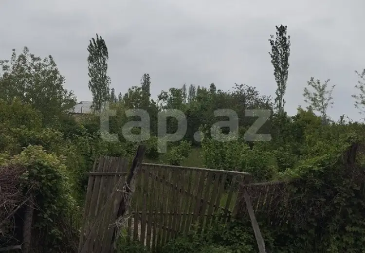 0 m² Obyekt / Ofis , Xudat