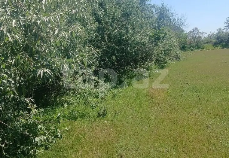 0 m² Obyekt / Ofis , Ağdaş