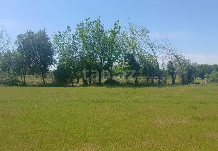 0 m² Obyekt / Ofis , Ağdaş