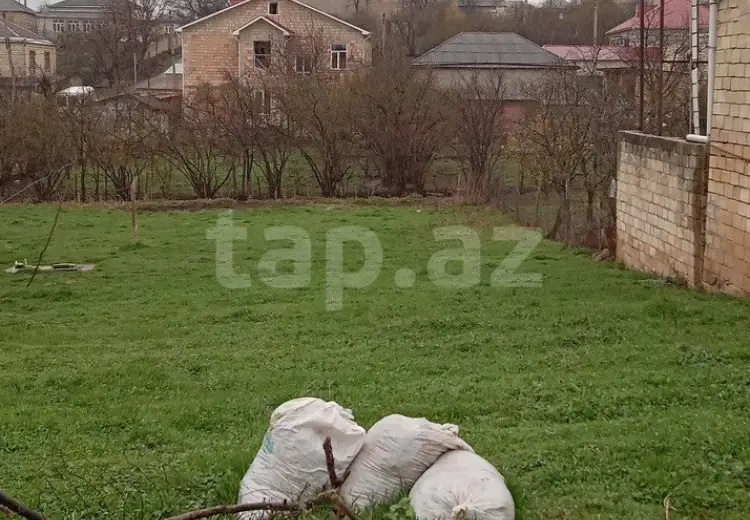 0 m² Obyekt / Ofis , Zaqatala