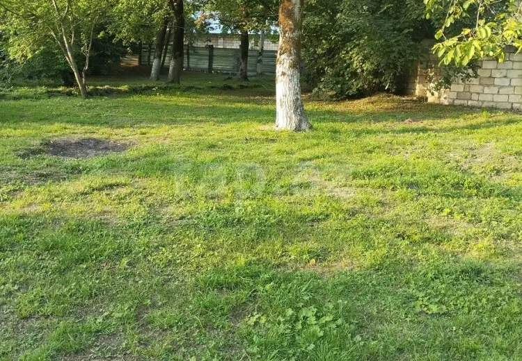 0 m² Obyekt / Ofis , Qəbələ