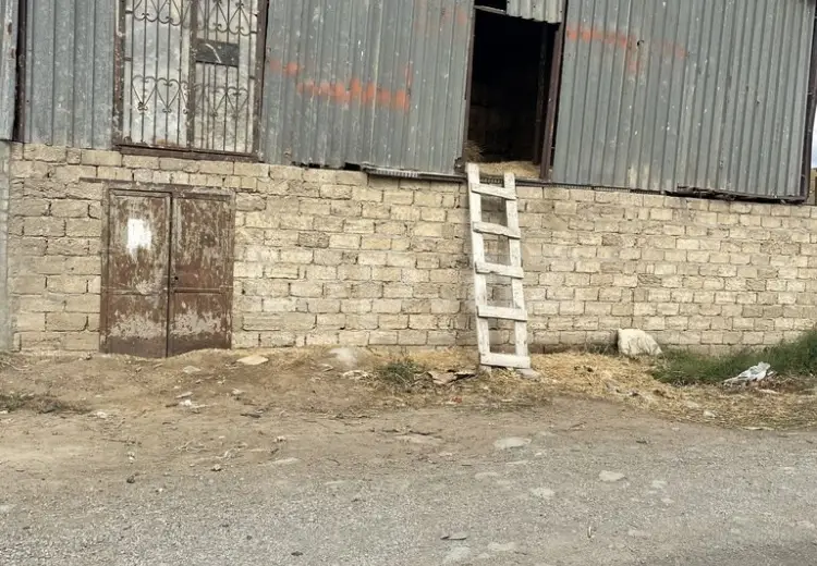 0 m² Obyekt / Ofis , Bakı