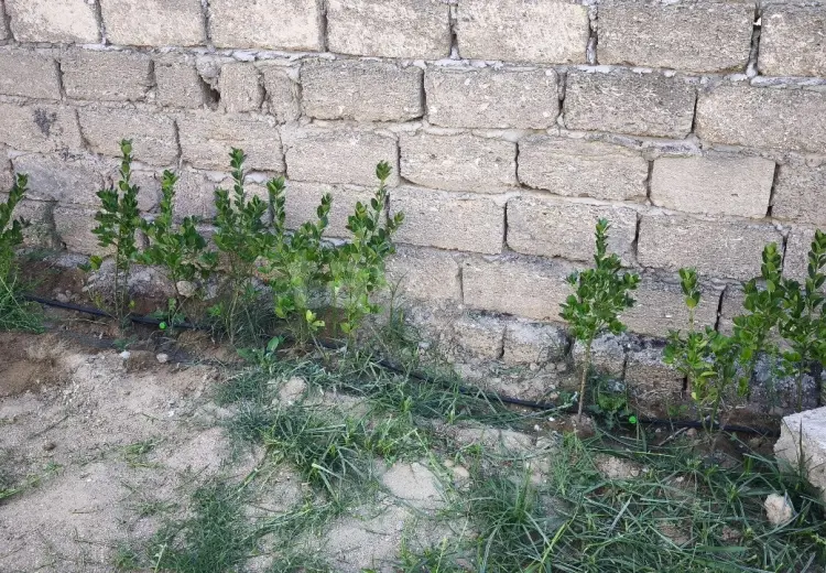 0 m² Obyekt / Ofis , Türkan, Xəzər, Bakı