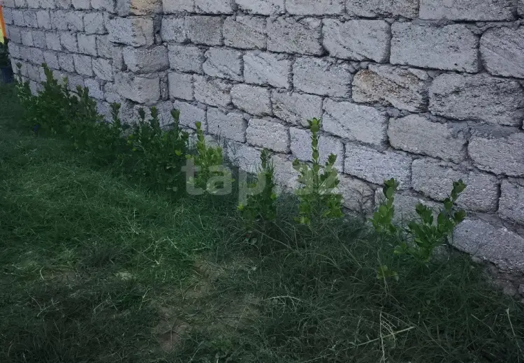 0 m² Obyekt / Ofis , Türkan, Xəzər, Bakı