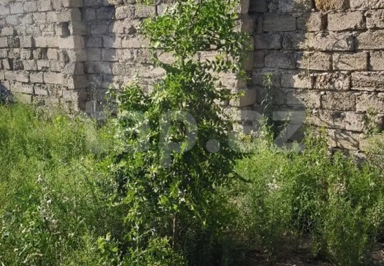 0 m² Obyekt / Ofis , Türkan, Xəzər, Bakı